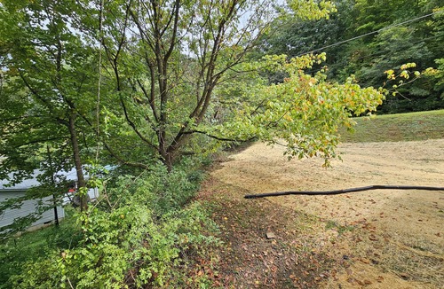 Swannanoa Cottage | Charming 2-BR Cottage 12 minutes from Biltmore House/Asheville or Black Mtn.n