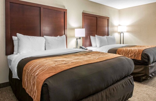 Blue Ash Hotel | Comfort Inn Blue Ash North