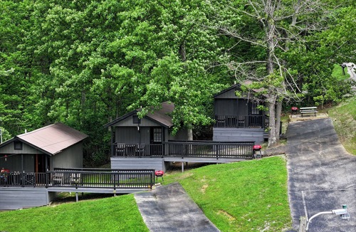 Farmers House | Cozy Cabin - Near Cave Run Lake & Marina #3
