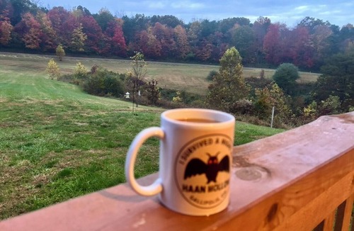 Kerr Apartment | Cozy Cabin Retreat on 12 Acres, Gazebo, Fire Pit & Starlink WiFi