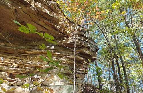 Stanton Cabin | Cozy Couples Cabin near Red River Gorge and Hollerwood
