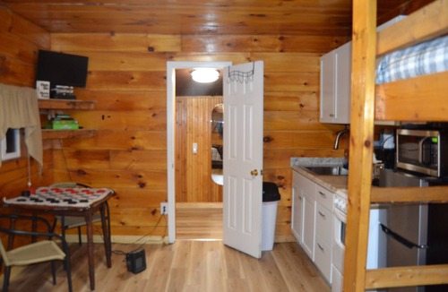 Stanton Cabin | Cozy & efficient cabin w/river access. Pet Friendly!