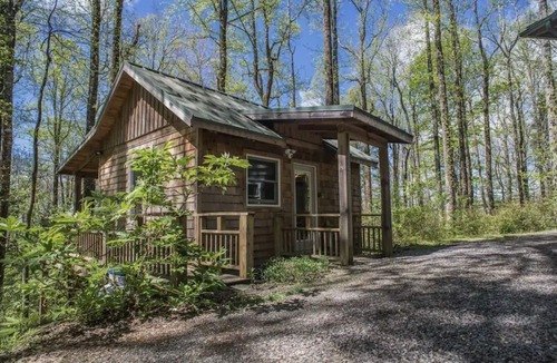 Chimney Rock Cabin | Cozy Guest Cabin-Pet Friendly-Secluded-Peaceful