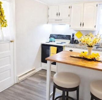 Halltown Ski Chalet | Cozy Mountain Rancher