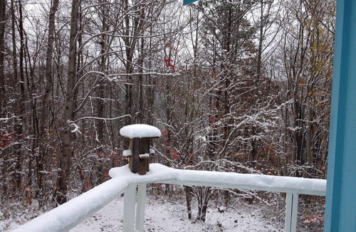 Canton Cabin | Cozy Mountainside Cabin 3400' Near Asheville NC