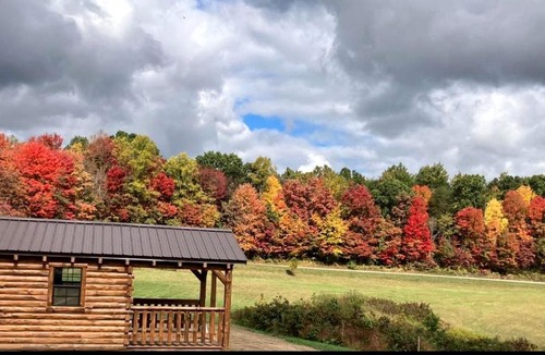 Kerr House | Cozy Studio Cabin Surrounded by Nature for a Peaceful Getaway near Gallipolis, Ohio