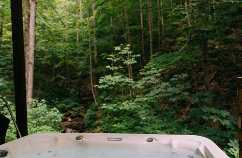 Stanton Cabin | Creekside Oasis! A 3-bedroom cabin with a fantastic view in Birch Hollow.