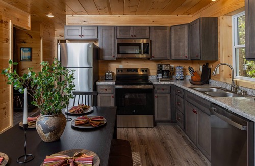 Stanton Cabin | Crimson Landing l Lux Cabin in RRG, Dome, Hot Tub