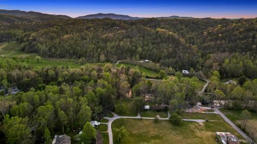 Pittman Center Ski Chalet | Crockett's Coonskin Cabin #540