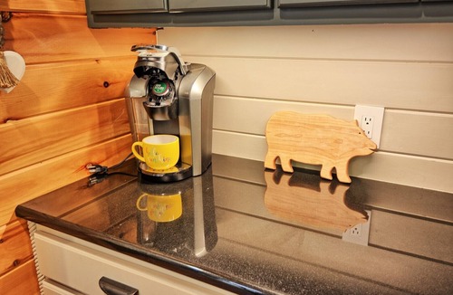 Warrensville Ski Chalet | Discover Moonshine River-a river front 4-bedroom cabin perfect for 8 guests!