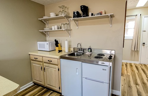 Baneberry Apartment | Dog-friendly, 1st-floor studio with golf view & gym - stroll to Douglas Lake