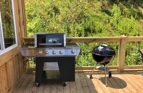 Waynesville House | ★ Downtown Rustic Mid-Century Cottage w/views ★