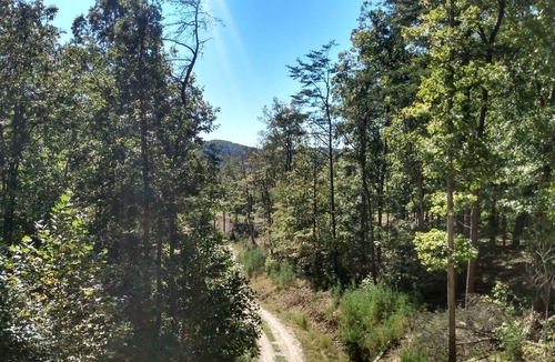 Stanton Cabin | Elderberry Cabin w/ hot tub near Red River Gorge