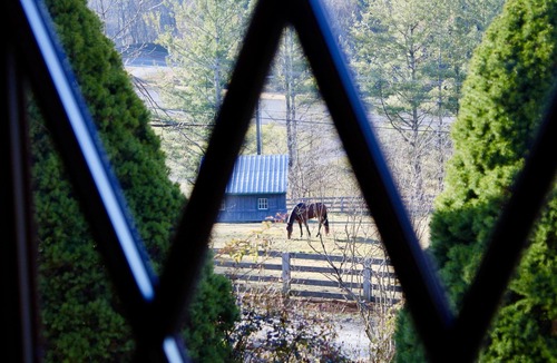 Banner Elk Cottage | Elegant Tudor Cottage: Farm Animals, Views, Vintage Decor
