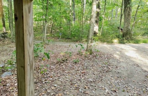 Elk Garden Cabin | Enjoy Nature At Its Finest-Rustic Furnished Cabin W/Electricity at Abrams Creek