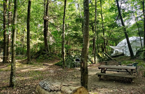 Elk Garden Cabin | Enjoy Nature At Its Finest-Rustic Furnished Cabin W/Electricity at Abrams Creek