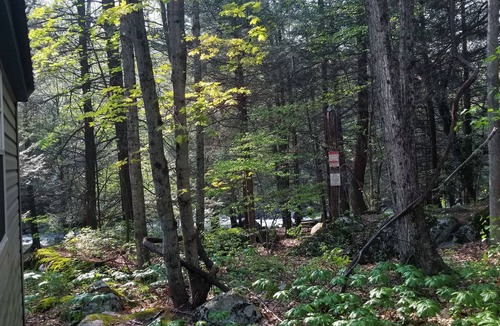 Elk Garden Cabin | Enjoy Nature At Its Finest-Rustic Furnished Cabin W/Electricity at Abrams Creek