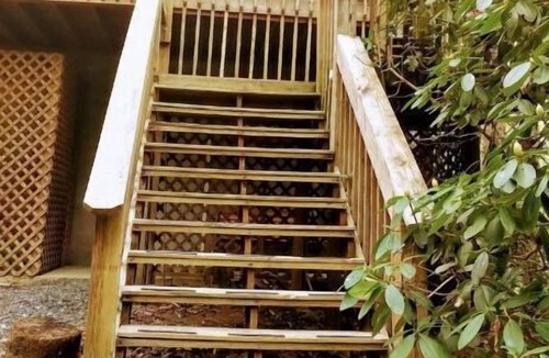Newland House | Escape to The Trees Cabin