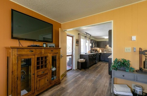 Kenilworth Ski Chalet | Full Berne Duplex Chalet 4 Mins to DT AVL, 10 Mins to Blue Ridge Parkway, Dogs