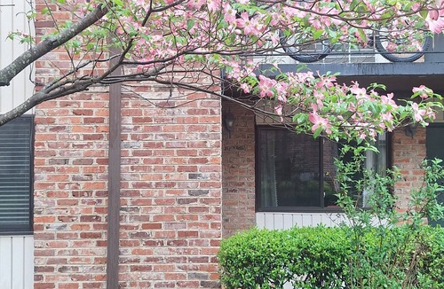 Downtown Knoxville Apartment | Fully furnished 2-bedroom close to UT and medical facilities.