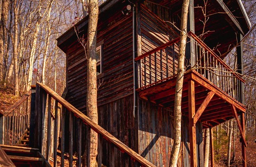 Lynx Cabin | Glamping Cabin | Huge Window | Tree House Feel