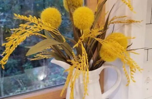 Pineola Cottage | Hidden Nest in Linville Landharbor. Only minutes from Grandfather Mountain