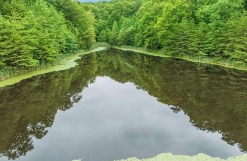 Clay City House | Hidden Treasure- Private Pool, Pond, 1600 Acres