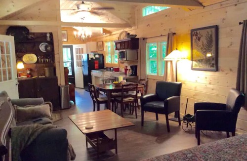 Flag Pond House | Hideaway from it all ! Holyfield Hideaway, Flag Pond, Tennessee