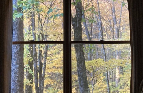 Lake Junaluska Cabin | High Hope: Private|Creek|Pets