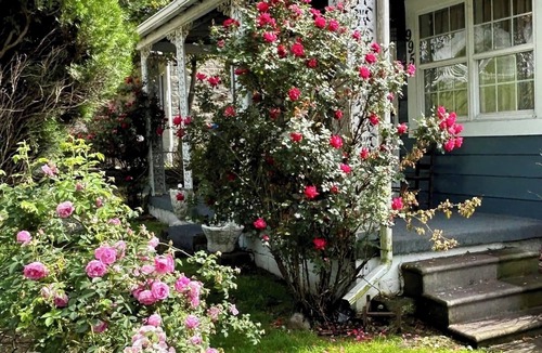 Chapmanville House | House on Main St., close to restaurants and entertainment. Miles from Trails!