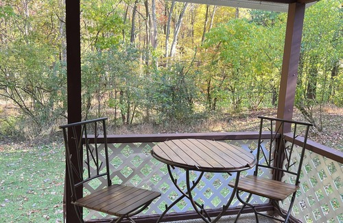Bloomington Cabin | Hunter's/Fishermen's Dream Cabin! - Direct Access to public game lands!