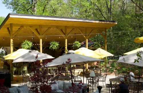 Lake Lure Apartment | Ladybug Suite at Grey Hawk Bar & Gardens Kitchen Pets Welcome!