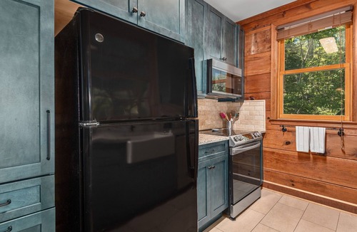 Lake Lure Cottage | Lake front cottage with pontoon boat in Lake Lure