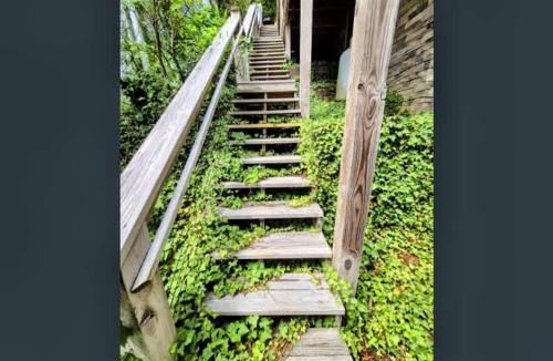 Lake Lure House | Lake Therapy