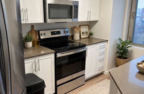 East Cambridge Apartment | Luxury 2b2b boston apt with Charles river view