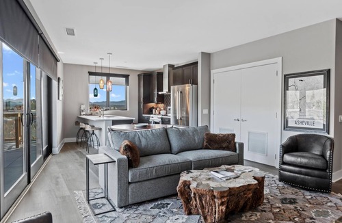 Downtown Asheville Condo | Luxury Downtown Condo with Views!