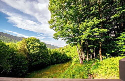 Banner Elk House | Minutes to Banner Elk, Quiet MTN Home, Fireplace!