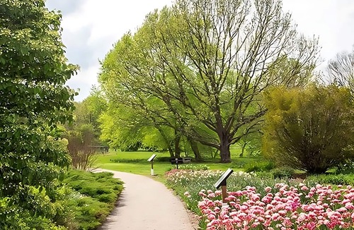 Lexington Hotel | Nature Escape! Unit Near Attractions in GuestHouse Lexington, Parking!