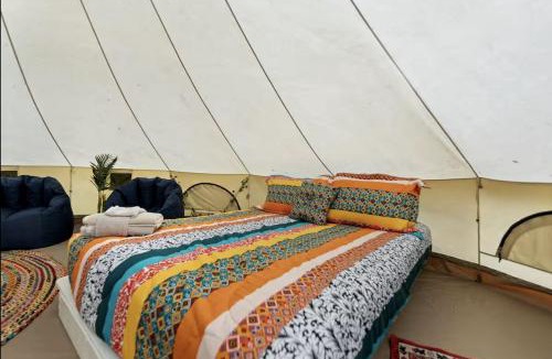 Stanton Other | Nature-Forward Glamping Resort with Forest Paths and Meadow Hangouts in Stanton, Kentucky