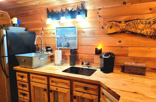 Flag Pond Apartment | New Smoky Mountain Tiny Cabin on Bold Stream with Hot Tub.