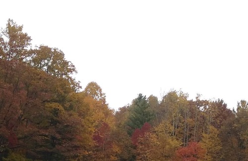 Mountain City House | Olive Leaf Cottage 4BR in the Tennessee mountains