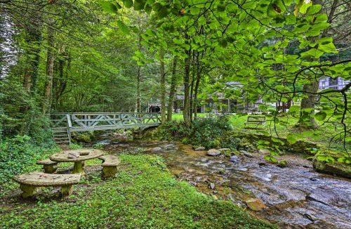 Roan Mountain House | On-Site Creek! Couples Escape in Roan Mountain