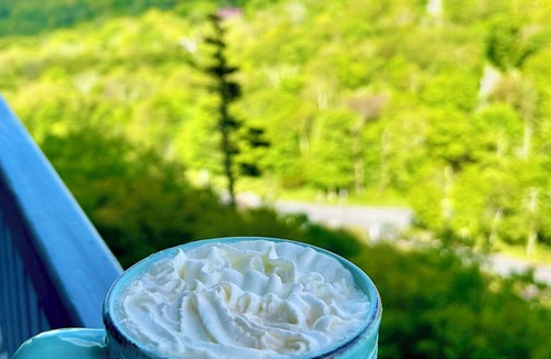 Sugar Mountain Condo | On Top of the World at Sugar Top Resort