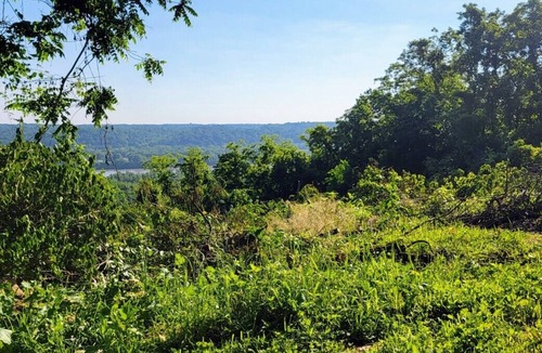 Foster Cabin | Peaceful, brand new cabin get-away at the center of 100-acre farm-built May 2022