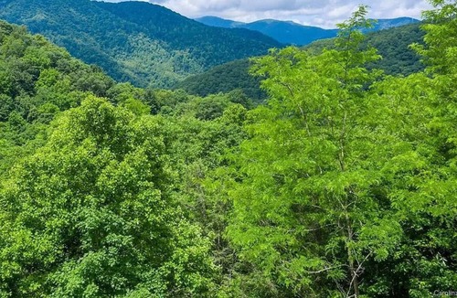 Cattail Creek House | Peaceful Mountain Escape Minutes from Burnsville