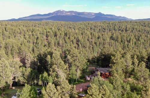 Divide House | Pike National Forest Access: Secluded Divide Cabin