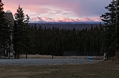 Kalifornsky Cabin | Private Alaskan Cabin on 1 Acre, pet friendly
