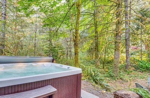 Lake Lure Cabin | Private LogHome/HotTub/Lake Lure/pet