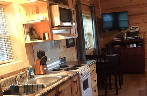 Tryon Cabin | Quaint cabin with A/C, Wifi, close to wineries!