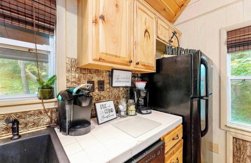 Roan Mountain Cabin | Roan Mountain Charming Cabin Hot Tub Close to Hiking Dogs Welcome